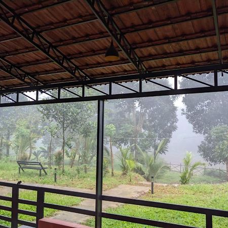 الشقق الفندقية فيثيريفي  Casa Creek المظهر الخارجي الصورة