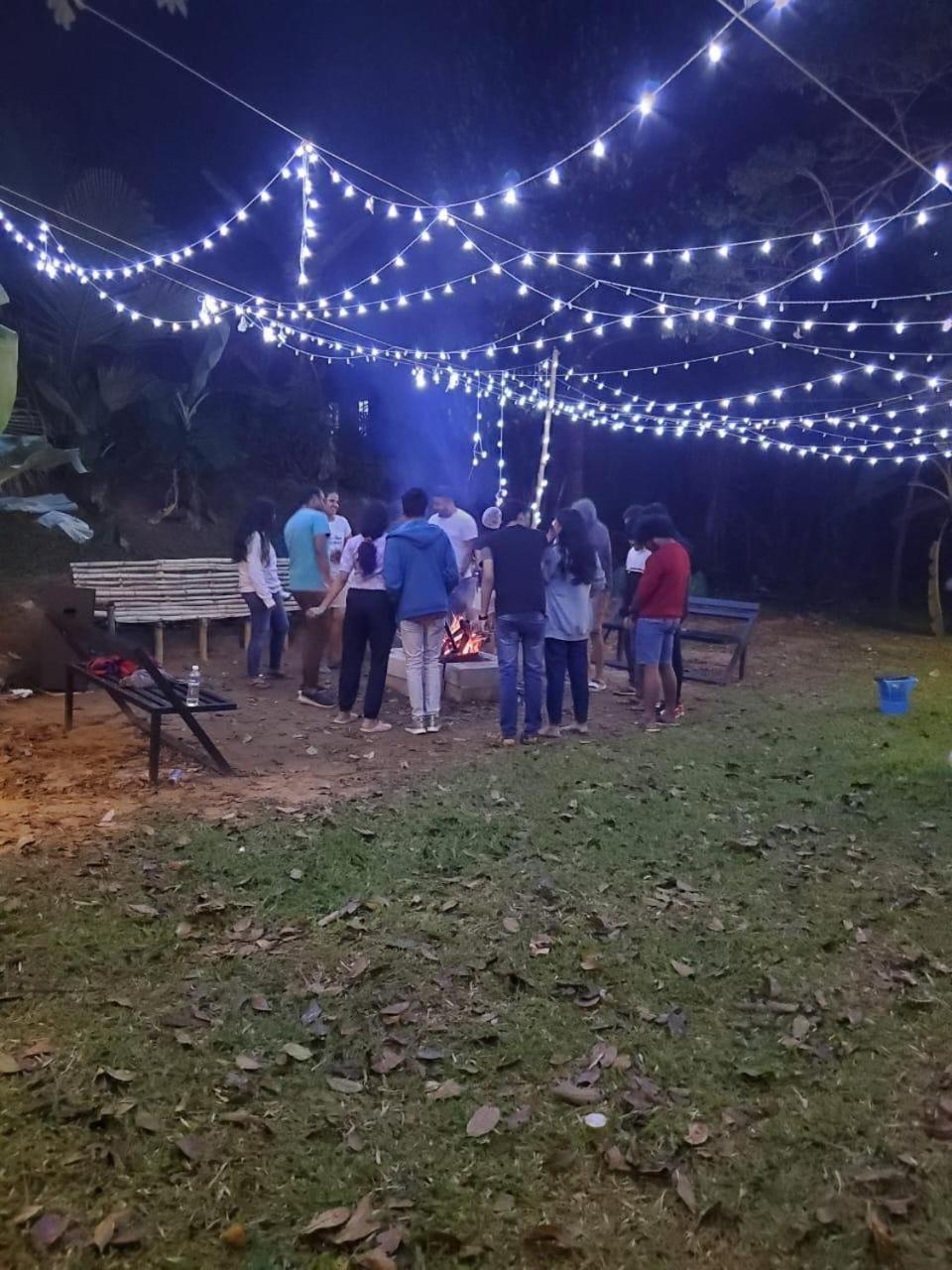 الشقق الفندقية فيثيريفي  Casa Creek المظهر الخارجي الصورة