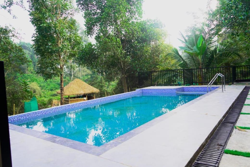 الشقق الفندقية فيثيريفي  Casa Creek المظهر الخارجي الصورة
